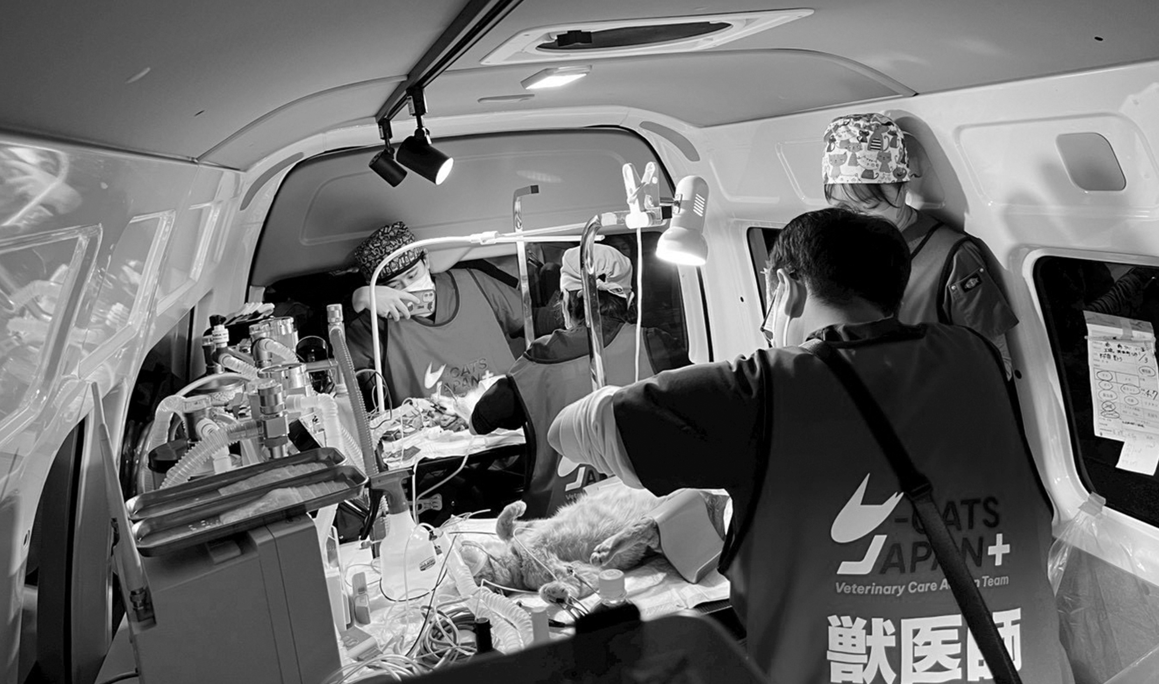 獣医師、愛玩動物看護師募集